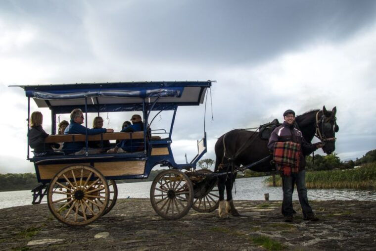 Killarney: 1-Hour Jaunting Car Horse and Carriage Tour - The Guides Make the Difference
