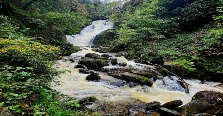 Killarney Area Half Day Tour - Itinerary and Highlights