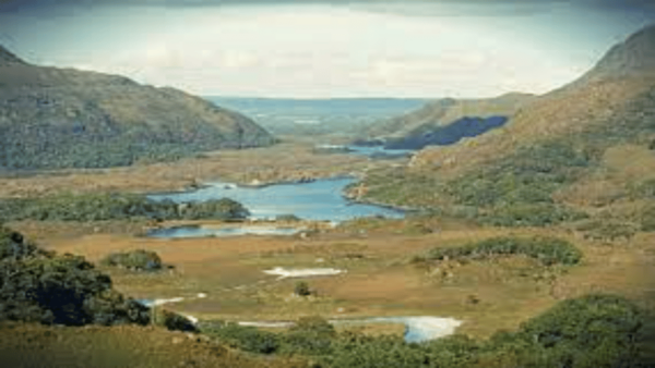 Killarney Area Half Day Tour - Muckross Area