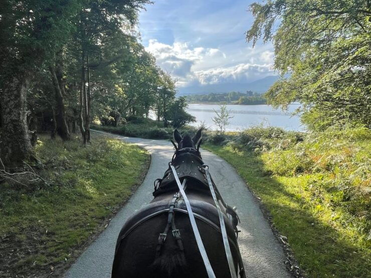 Killarney Carriage Tours National Park and Lakes - Good To Know
