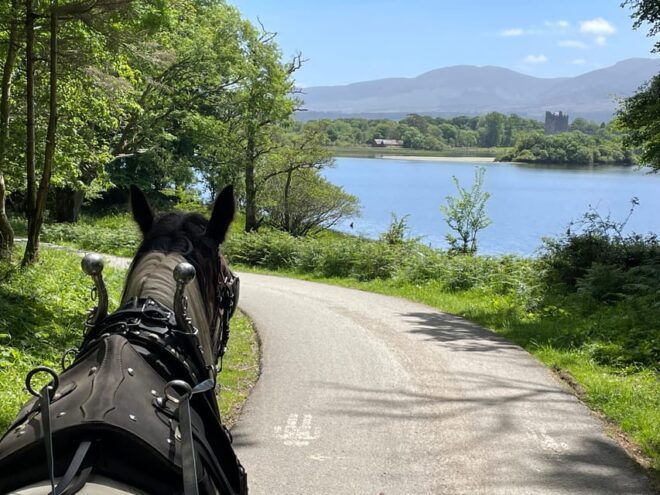 Killarney Carriage Tours National Park and Lakes - Tour Details
