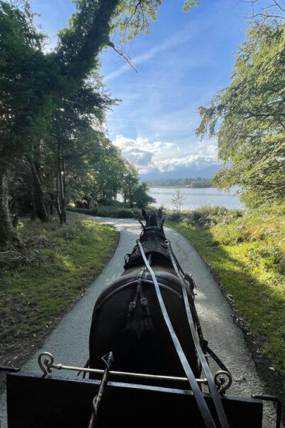 Killarney Carriage Tours National Park and Lakes - Photographic Opportunities