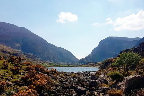 Killarney: Gap of Dunloe Pony, Trap & Traditional Boat Tour - Meeting and Logistics