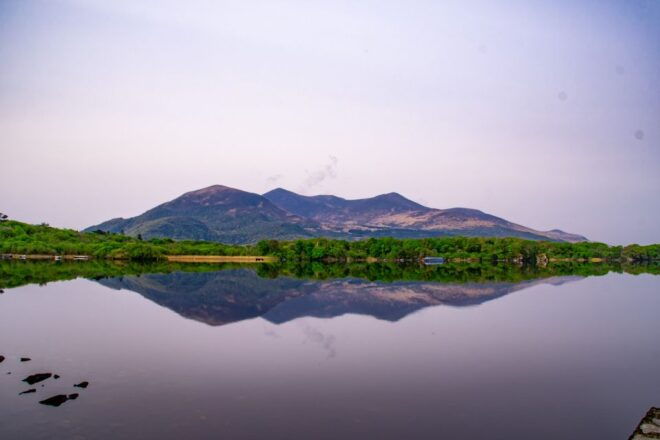 Killarney: Guided Boat Tour to Innisfallen Island - Inclusions