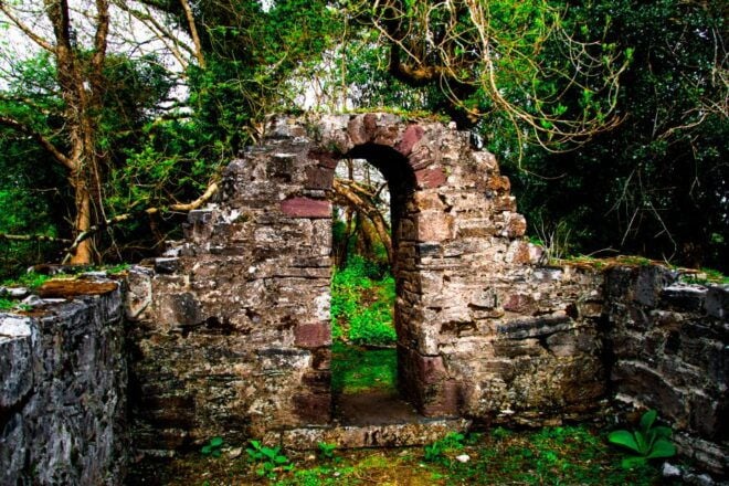 Killarney: Guided Boat Tour to Innisfallen Island - Participant Information and Meeting Point