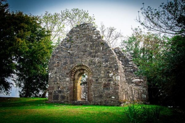 Killarney: Guided Boat Tour to Innisfallen Island - Customer Reviews