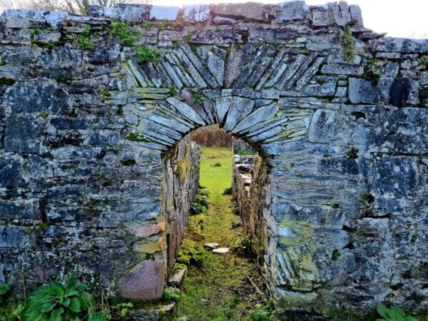 Killarney: Guided Boat Tour to Innisfallen Island - The Sum Up