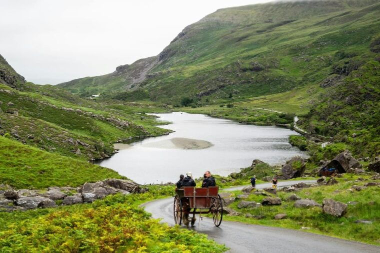 Killarney Highlights Walk  Castle Lake Carriage Ride - Why This Tour Offers Great Value