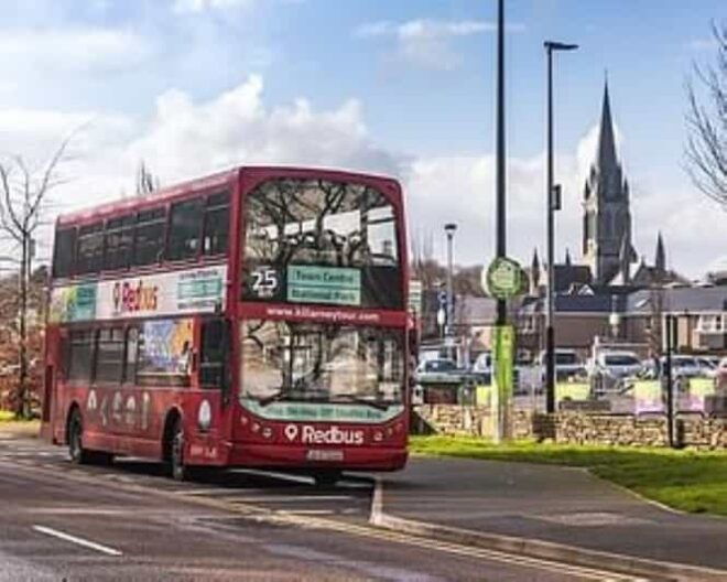 Killarney: Hop-On Hop-Off Bus to Killarney National Park - Tour Details