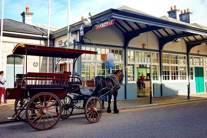 Killarney Jaunting Car & Lily of Killarney Watercoach Tour - What To Expect