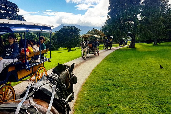 Killarney Jaunting Car & Lily of Killarney Watercoach Tour - Reviews
