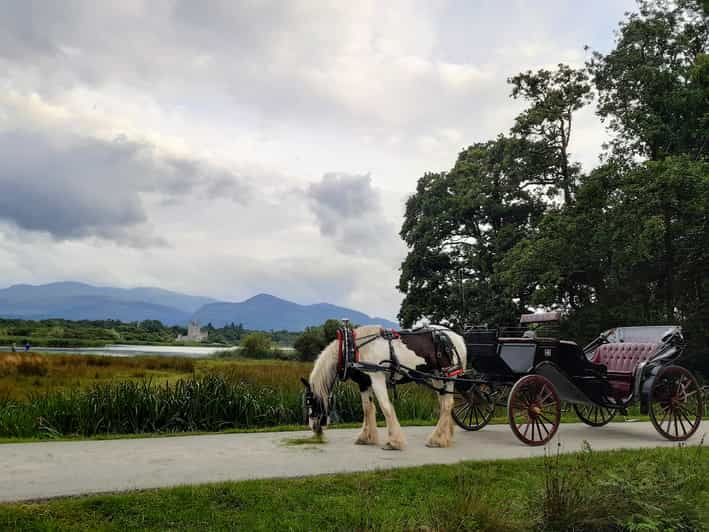 Killarney Jaunting Car Tour - Scenic Tour of Killarney National Park