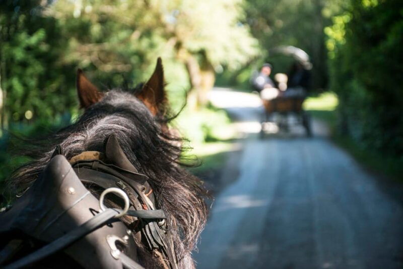 Killarney: Jaunting Car Tour with Afternoon Tea - Good To Know