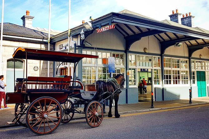Killarney Jaunting Car Tour With Craft Brewery Beer & Pizza - Craft Beer and Pizza Experience