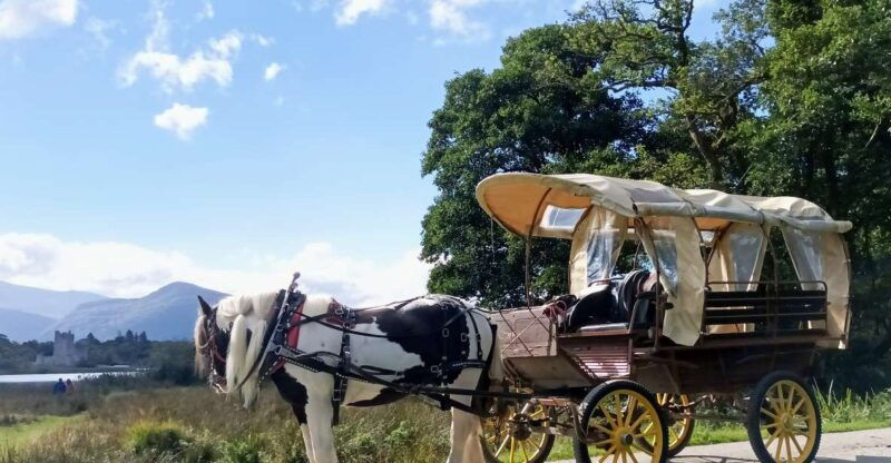 Killarney: Killarney National Park Private Tour - Good To Know  
