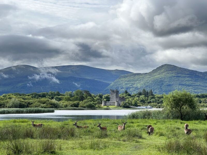 Killarney: Killarney National Park Private Tour - The Carriage and Comfort
