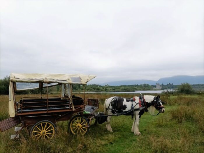 Killarney: Killarney National Park Private Tour - FAQ