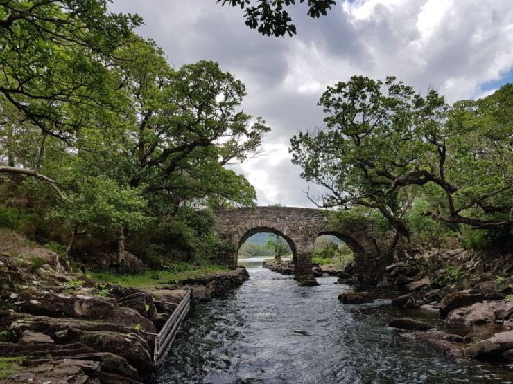 Killarney: Lakes of Killarney Boat Tour With Transfer - Activity Details