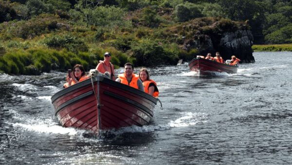 Killarney: Lakes of Killarney Boat Tour With Transfer - The Sum Up