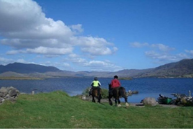 Killarney National Park Horseback Ride. Co Kerry. Guided. 1 Hour. - Customer Reviews and Viator Information