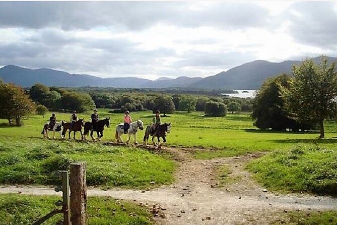 Killarney National Park Horseback Ride. Co Kerry. Guided. 3 Hours. - Additional Info