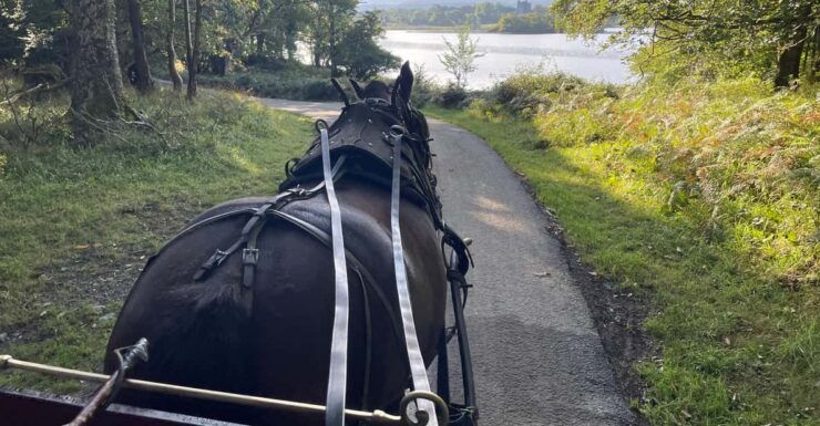 Killarney National Park Jaunting Car Tour - Good To Know