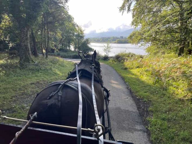 Killarney National Park Jaunting Car Tour - Customer Ratings