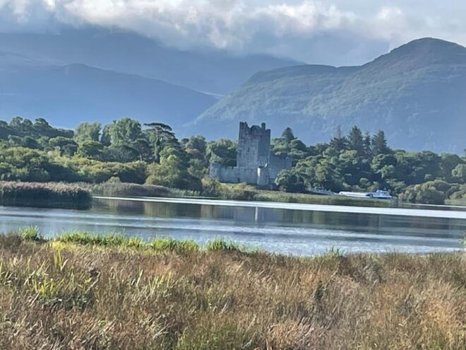 Killarney National Park Jaunting Car Tour - St Marys Cathedral Visit