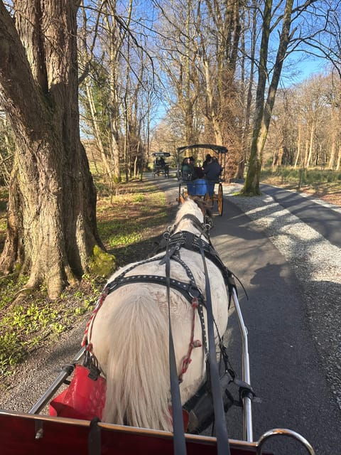 Killarney National Park Tour - Good To Know