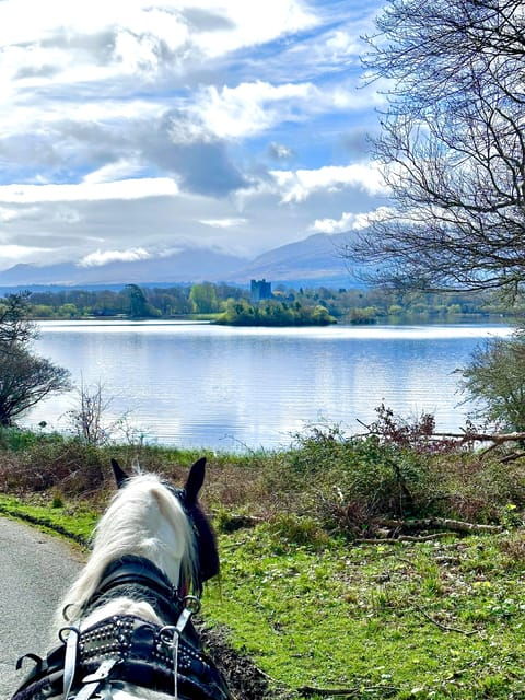 Killarney National Park Tour - Itinerary and Highlights