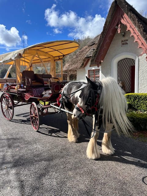 Killarney National Park Tour - Tour Experience