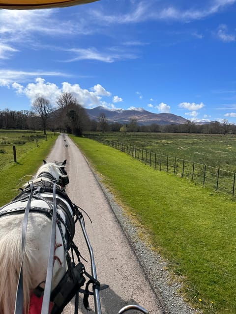 Killarney National Park Tour - Meeting Point and Directions