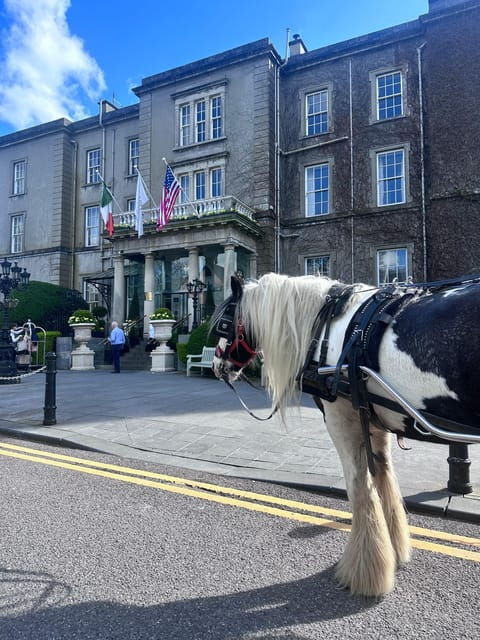 Killarney National Park Tour - Included in the Tour