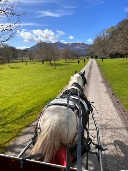Killarney National Park Tour - Exploring Killarney National Park