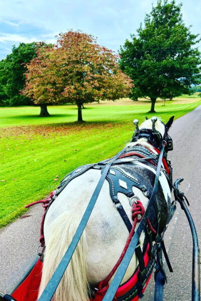Killarney National Park Tour - Frequently Asked Questions