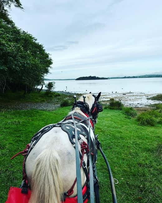 Killarney National Park Tour - Final Thoughts