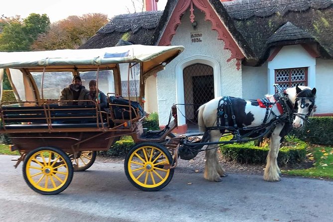 Killarney National Park Tour - Multiple Departure Times