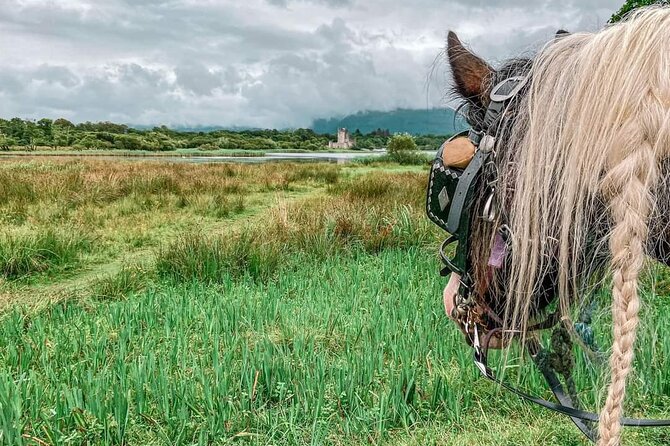 Killarney National Park Tour - Explore Car-Free Routes