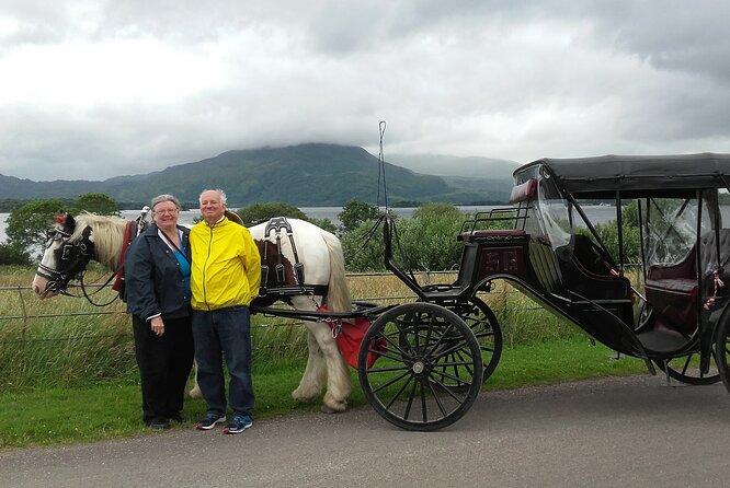 Killarney National Park Tour - Optional Tour of Ross Castle