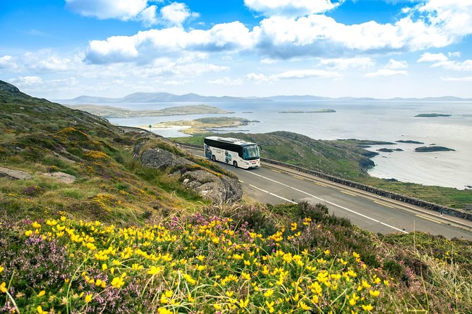 Killarney Super Saver: Dingle and Slea Head Day Trip Plus Ring of Kerry and Killarney Lakes Day Trip - Day 1: Dingle and Slea Head Day Trip