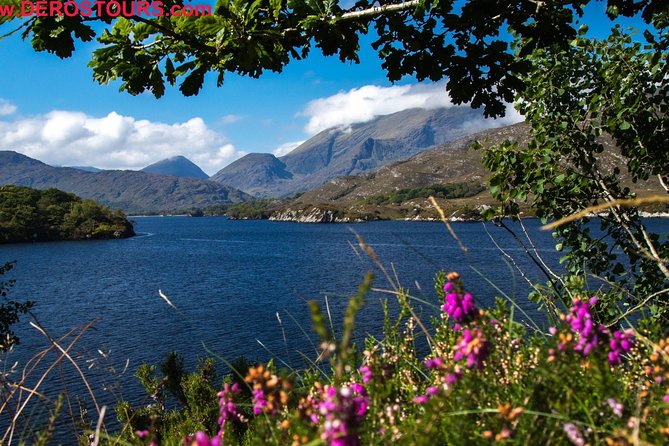 Killarney Super Saver: Dingle and Slea Head Day Trip Plus Ring of Kerry and Killarney Lakes Day Trip - Common Questions