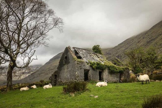 Killarney: The Ring of the Reeks - Backroads Rural Tour - Scenic Valleys and Passes