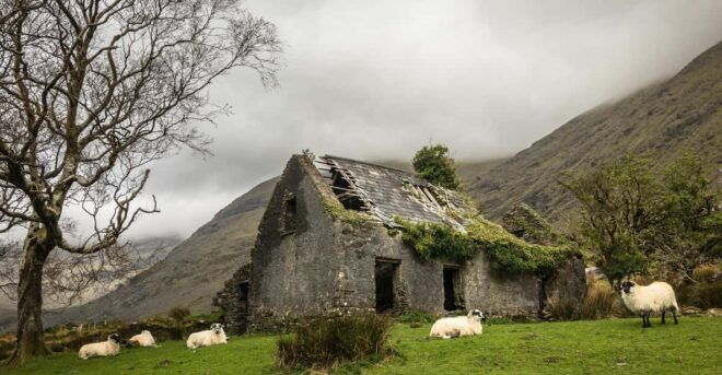Killarney: The Ring of the Reeks - Backroads Rural Tour - Lunch Break in Kenmare