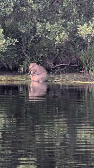 Killin: Loch Tay Beaver Canoe Tour - Introduction to the Loch Tay Beaver Canoe Tour