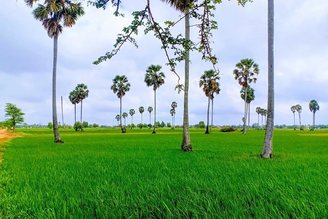 Killing Field & Paddy Rice Fields Bike Ride - Cycling Through Rural Cambodia