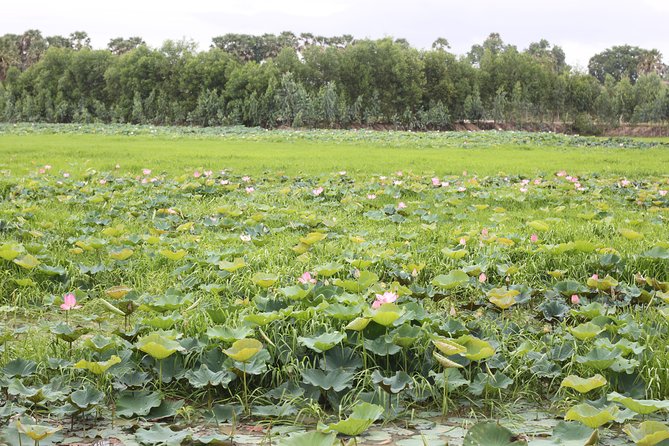 Killing Field & Paddy Rice Fields Bike Ride - The Sum Up