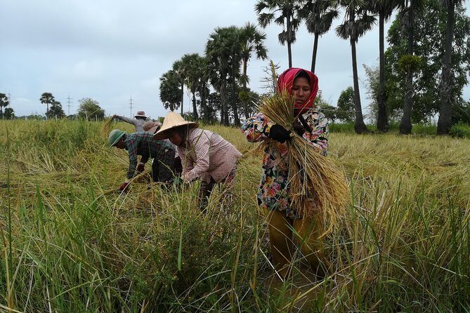 Killing Fields, War Museum and Floating Village ( Mechrey ) - Who Should Book This Tour?