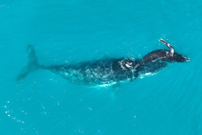 Kimberley Day Cruise Full Day Tour Departing Broome - FAQs