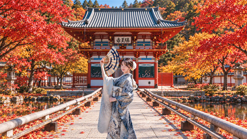 Kimono and Yukata Rental Experience (Provided by Osaka / Kawaii Osaka) - Hair styling and accessories take planning