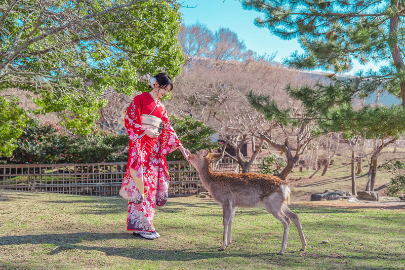 Kimono and Yukata Rental Experience (Provided by Osaka / Kawaii Osaka) - Should you book Kawaii Osaka?